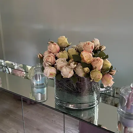 Διαμέρισμα Veronica & Maison Laguna Βενετία